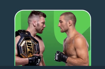 UFC 312 Odds