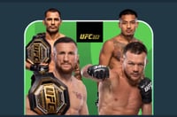 UFC 323 Predictions