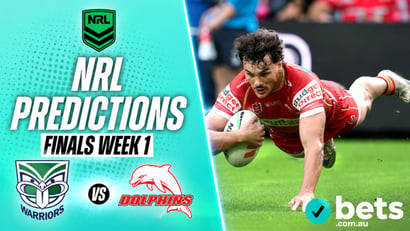 Warriors Dolphins