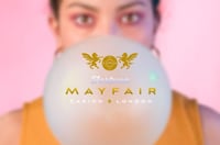 Welcome in February at Mayfair