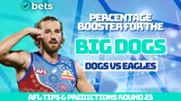 Western Bulldogs vs West Coast Eagles AFL Round 23 Tips