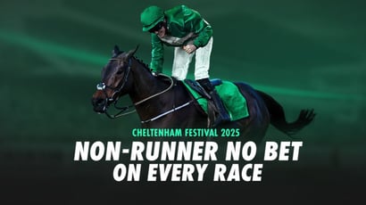 bet365 Cheltenham Festival 2025 NRNB