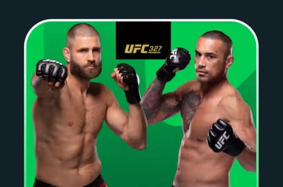 stake ufc 327 prochazka ulberg prize pool