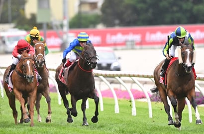 Oakbank Tips for 19.04.2025