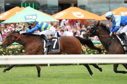 Oakleigh Plate 2026 Betting Odds - Point Barrow Heads The Betting