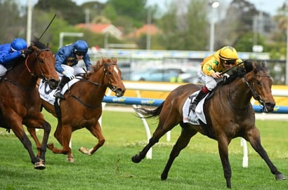 Oakleigh Plate Odds