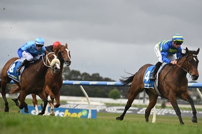 Oakleigh Plate 2026 Betting Tips - Can Point Barrow Take the Next Step?
