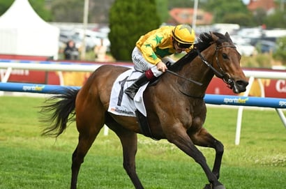 Oakleigh Plate 2025 Betting Tips - Fresh runners are fancied