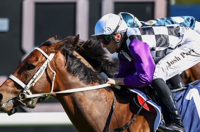 Railway Stakes Tips - Local fancies to have the edge over eastern seaboard raiders