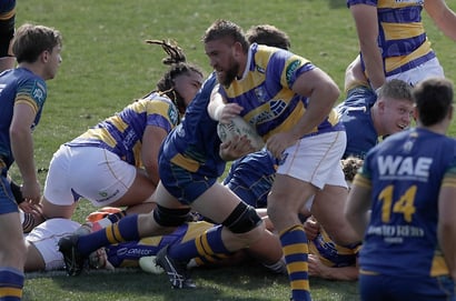 Otago vs Bay of Plenty
