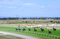 Pakenham Tips for 06.02.2025