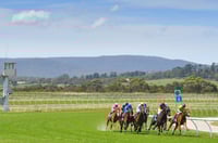Pakenham Tips for 10.04.2025