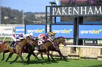 Pakenham Tips for 20.02.2025