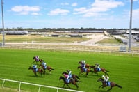 Pakenham Tips for 20.03.2025