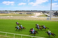 Pakenham Tips for 24.04.2025
