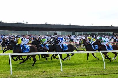 Pakenham tips 28/11