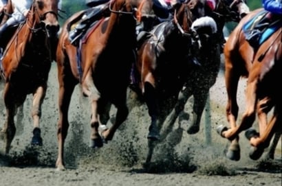 Pakenham tips for 02.06.2023