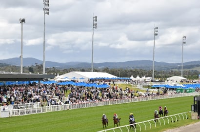 Pakenham tips for 14.11.2025
