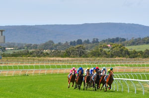 Pakenham tips for 21.11.2025