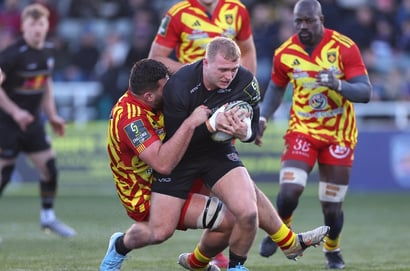 Perpignan Rugby