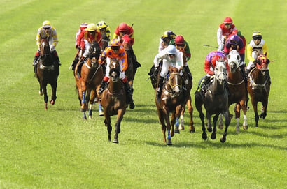 Perth Horse Racing