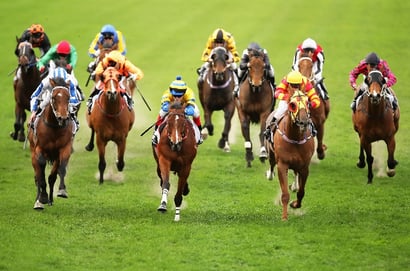 Pinjarra Dabble - 22/07