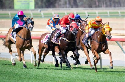 Pinjarra Racing