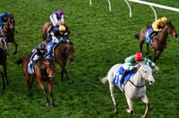 Pinjarra Tips for 05.07.2025