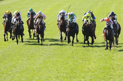 Pinjarra Tips for 09.04.2025