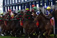 Pinjarra Tips for 09.07.2025