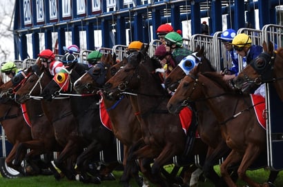 Pinjarra Tips for 09.07.2025
