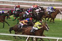 Pinjarra Tips for 09.08.2025