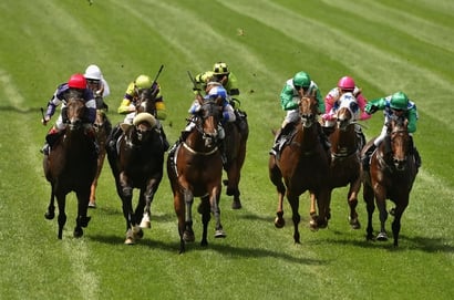 Pinjarra Tips for 15.02.2025