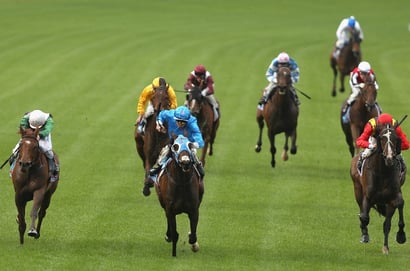 Pinjarra Tips for 16.04.2025