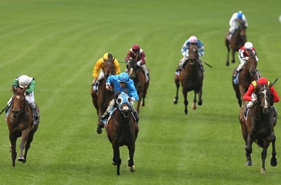 Pinjarra Tips for 22.05.2025