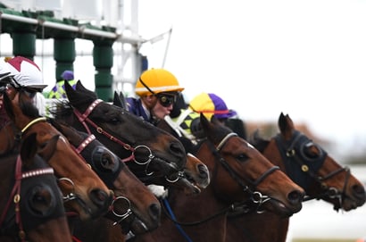 Pinjarra Tips for 28.06.2025