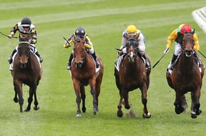 Pinjarra tips for 11.12.2025