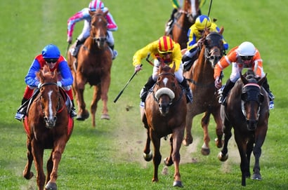 Pinjarra tips for 16.07.2026