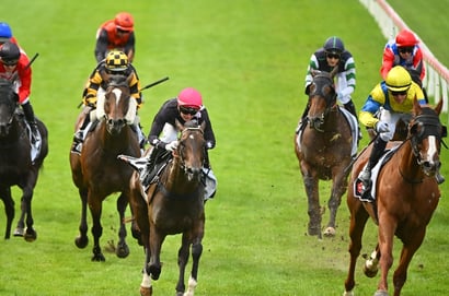 Pinjarra tips for 21.05.2026