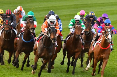 Pinjarra tips for 24.06.2026