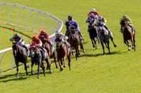 Port Macquarie Tips for 24.01.2025