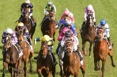 Port Macquarie tips for 08.08.2025