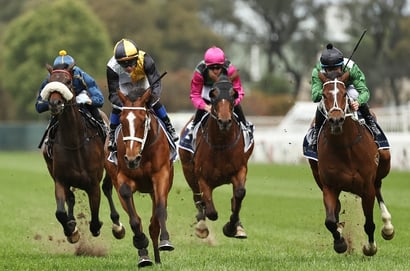 Port Macquarie tips for 09.10.2026