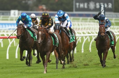 Port Macquarie tips for 10.10.2025