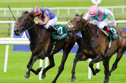 Pretty Polly Stakes curragh