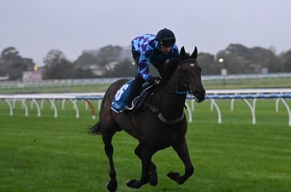 Doomben Cup Racing Tips - Pride Of Jenni looks set to control the Group 1 feature at Doomben on Saturday.