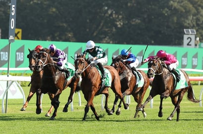 Queen Elizabeth Stakes 2025 Betting Tips - Is Via Sistina vulnerable?