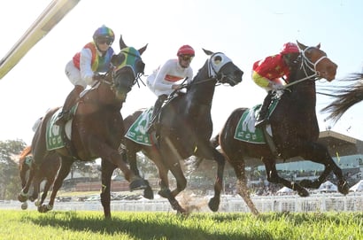 Queensland Derby 2026 - Barrier Draw & Final Field