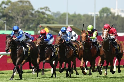 Queensland Derby 2025 - Barrier Draw & Final Field