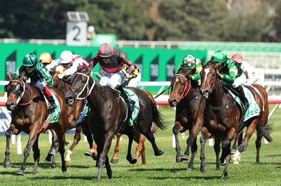 Queensland Derby 2025 Betting Odds - Belle Detelle & Statuario lead an open market